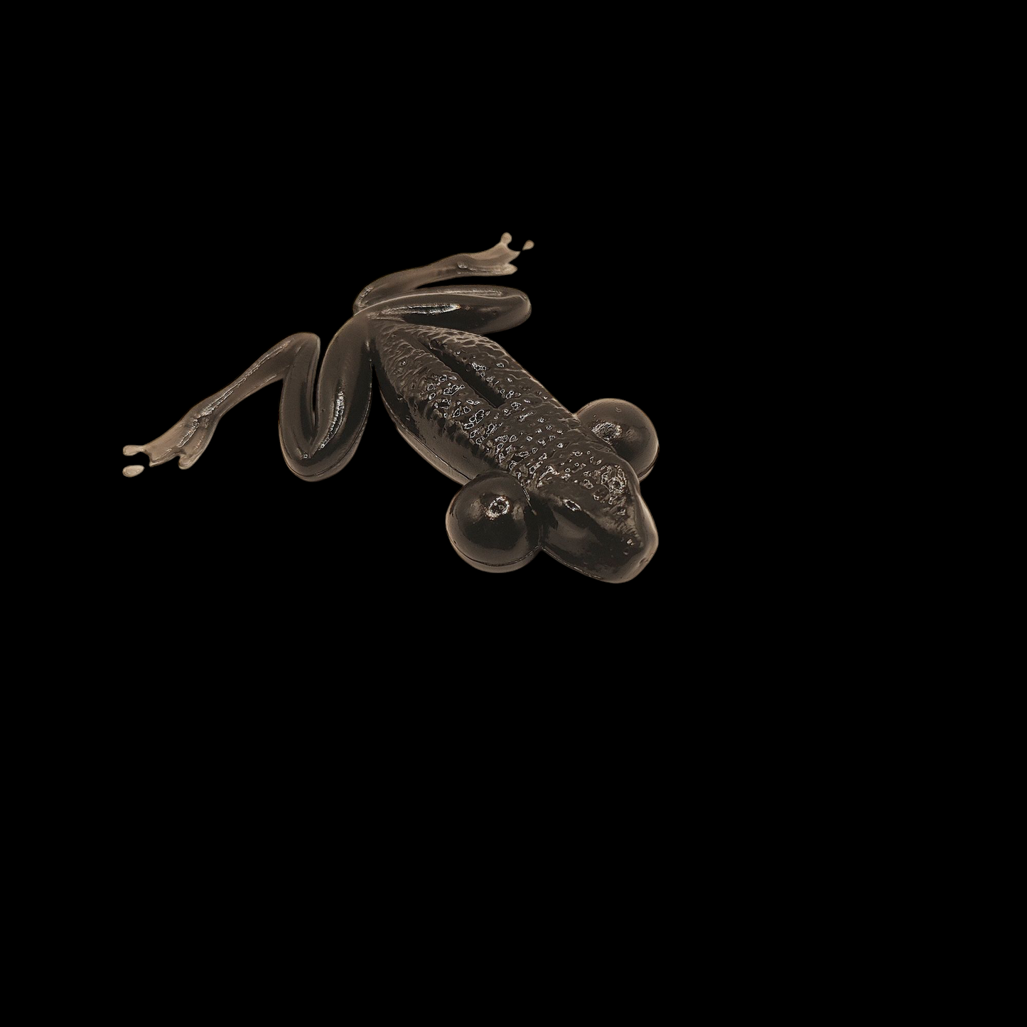 Anura Frog© 2,3"-4,3" Black x8